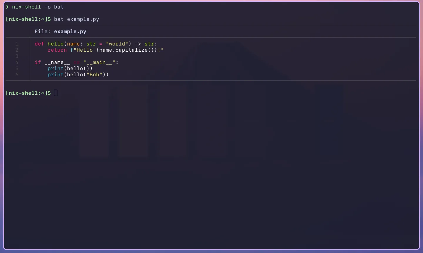 Running bat in Nix Shell